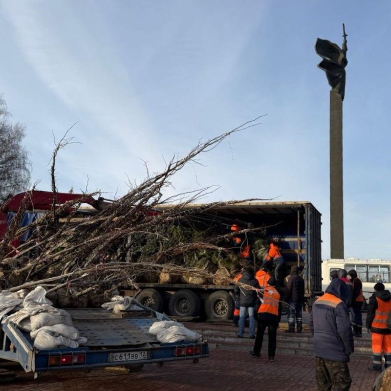 20 колючих елок высаживают в Центральном парке культуры и отдыха в Йошкар-Оле