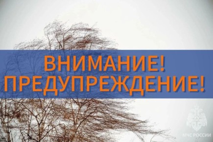 По информации Марийского центра по гидрометеорологии и мониторингу окружающей среды