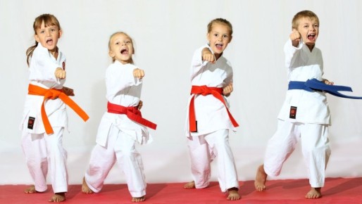 В Марий Эл запланировано строительство 13 спортивных объектов