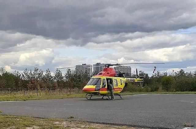  2025        53 ,      52 