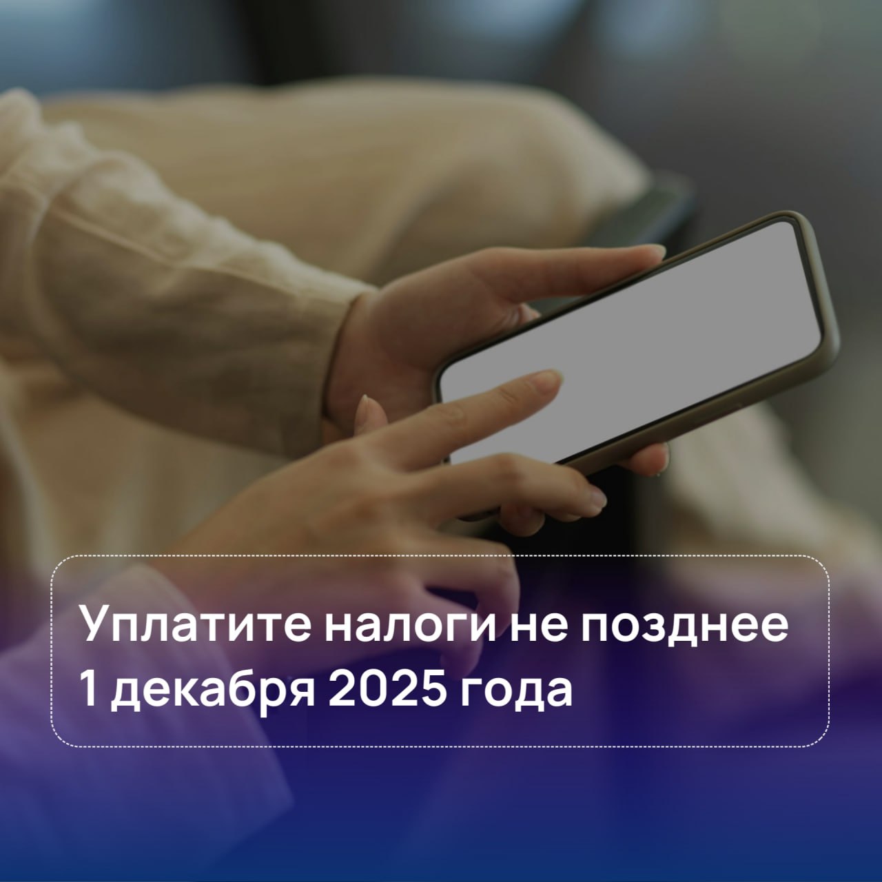1 декабря 2025 года истекает срок уплаты имущественных налогов