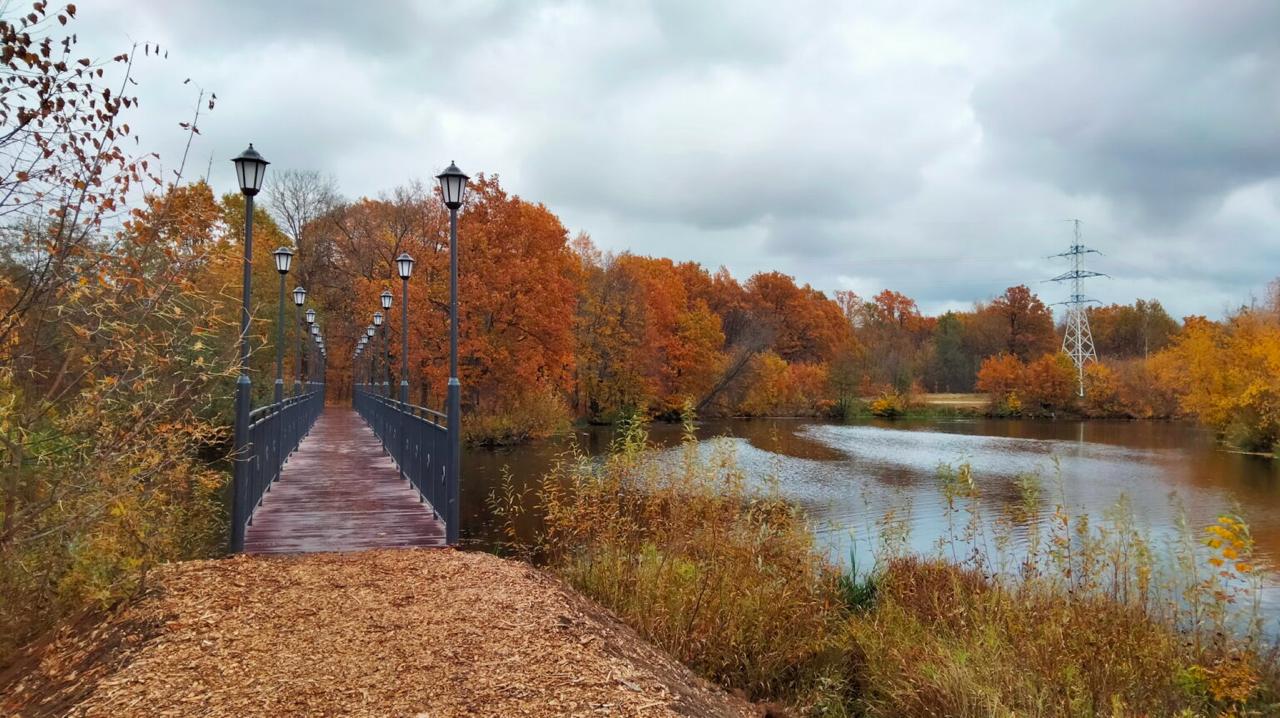Прокуратура Республики Марий Эл добивается возврата в муниципальную собственность земельных участков в Сосновой роще, которые были выведены из состава охраняемой природной территории с нарушениями