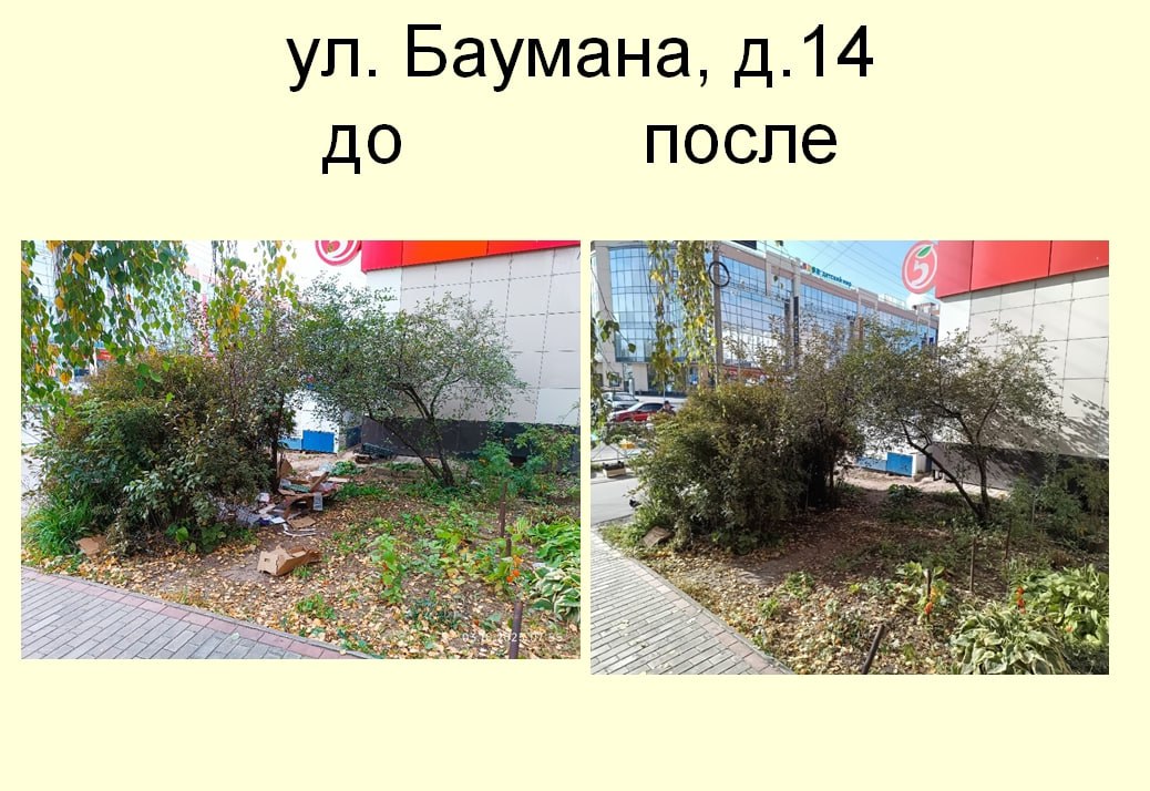 Управлением муниципального контроля за истекший период 2025 года составлено более 470 протоколов об административных правонарушениях в сфере благоустройства Управлением муниципального контроля за истекший период 2025 года составлено более 470 протоколов об административных правонарушениях в сфере благоустройства