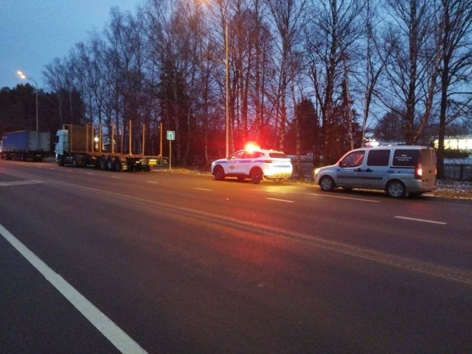 Более полусотни неоплаченных штрафов по линии ГАИ обнаружили автоинспекторы у водителя грузовика, чей госномер вызвал сомнения в подлинности