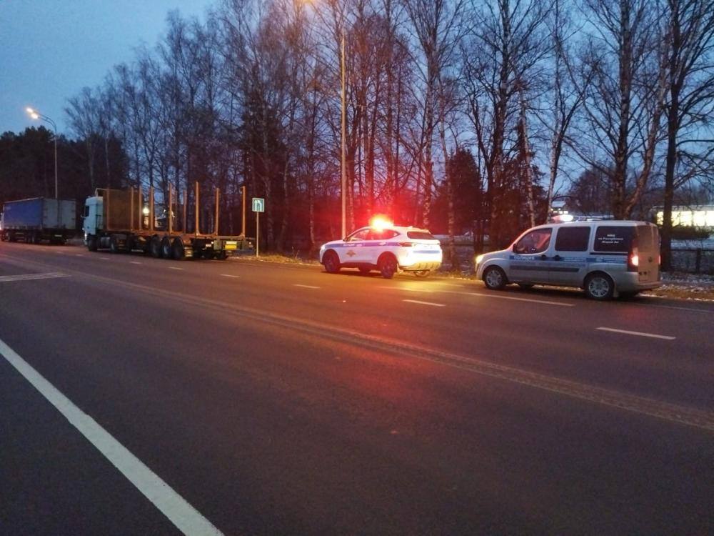 Более полусотни неоплаченных штрафов по линии ГАИ обнаружили автоинспекторы у водителя грузовика, чей госномер вызвал сомнения в подлинности