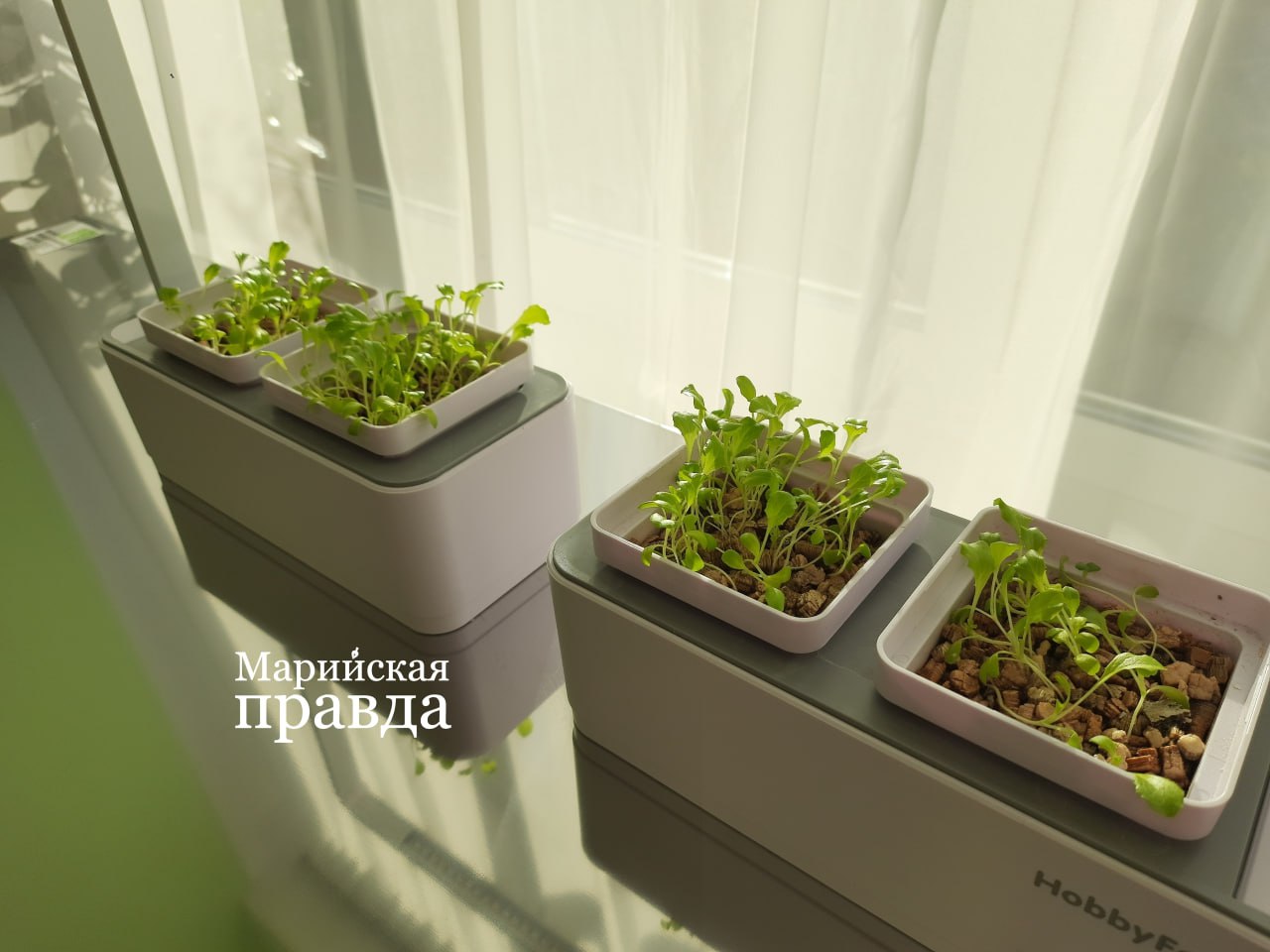 В Йошкар-Олинском реабилитационном центре для детей с ОВЗ заработали семейные мастерские В Йошкар-Олинском реабилитационном центре для детей с ОВЗ заработали семейные мастерские