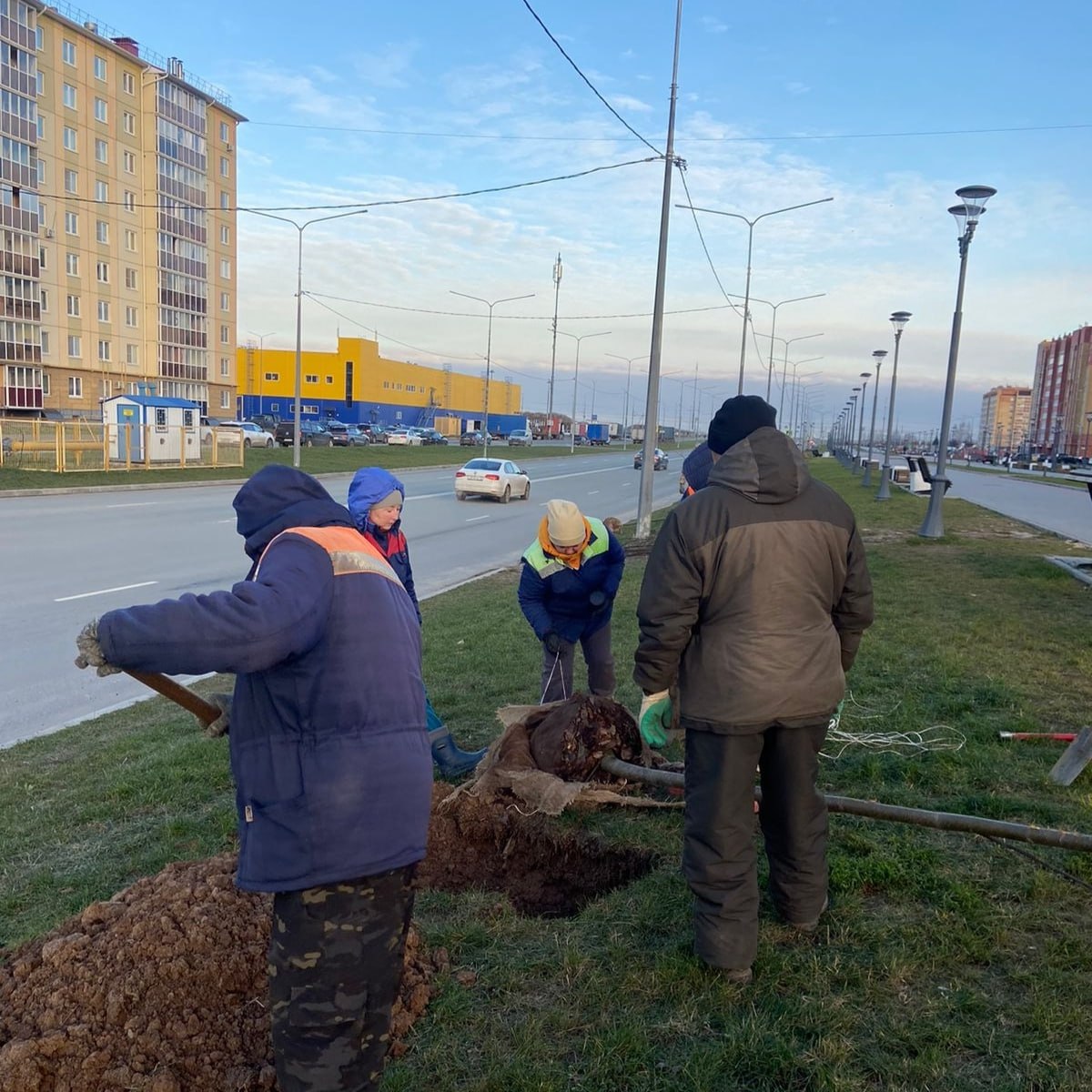 Неделя озеленения подарила городу более 100 новых деревьев! Неделя озеленения подарила городу более 100 новых деревьев!