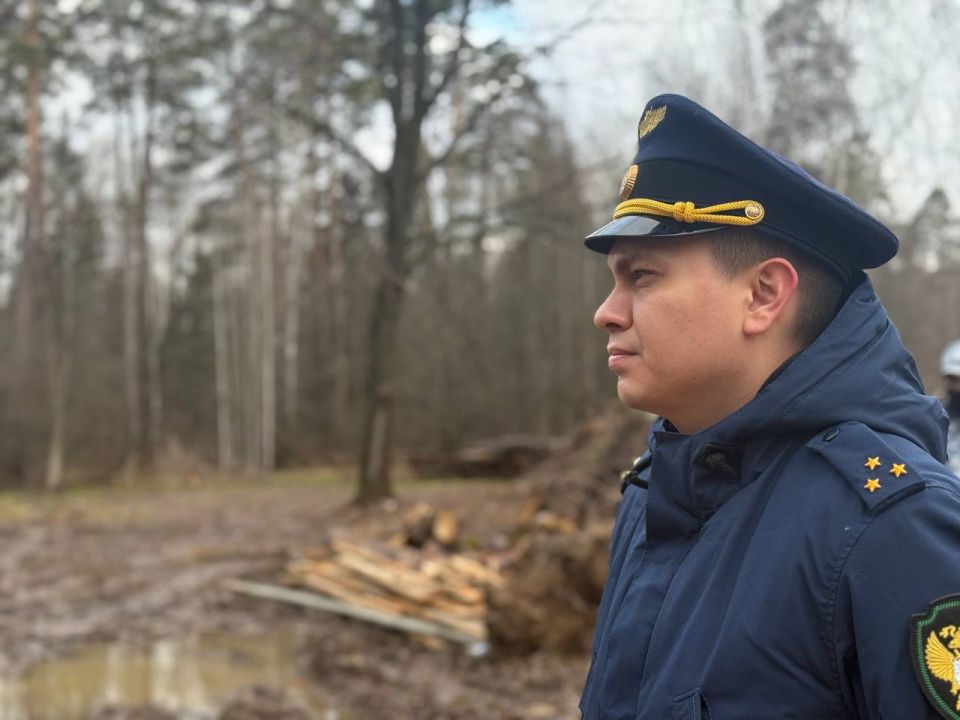 По ходатайству прокуратуры суд наложил обеспечительные меры - запретил осуществлять снос зеленых насаждений и любой вид строительства на земельных участках в Сосновой роще, а также совершение любых видов сделок с ними