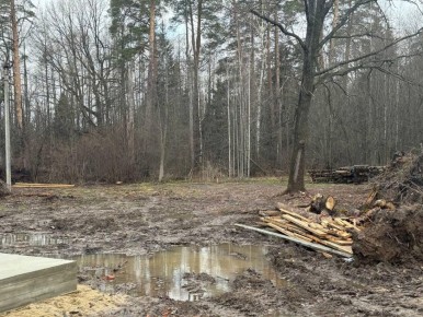 Суд Марий Эл принял решение по вопросу спорных земельных участков на территории Сосновой рощи