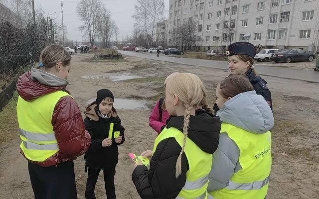 Организаторы мероприятия в первую очередь старались донести до пешеходов, что иногда разглядеть человека в темное время суток на неосвещенном участке дороги водителю просто невозможно