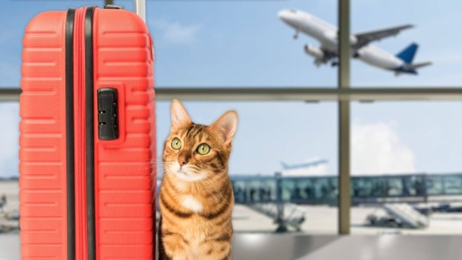 Перед вылетом непременно сделайте одну вещь: хитрый трюк от опытных туристов