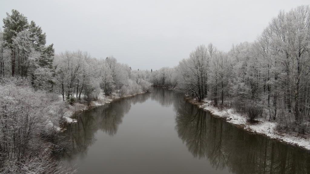 Марийские синоптики обещают мокрый снег с дождём