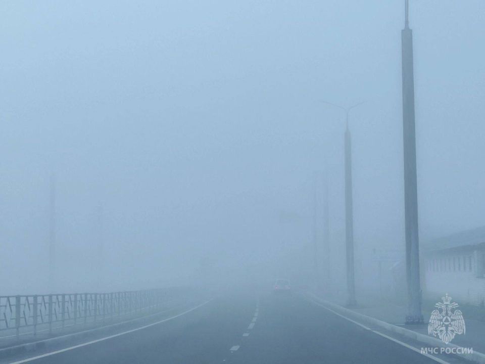 Ночью и утром 24 ноября 2025 года местами по Республике Марий Эл и г. Йошкар-Ола ожидается туман с ухудшением видимости 500 метров и менее