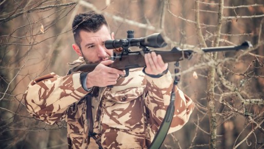 В лесах Марий Эл можно встретить быка-убийцу