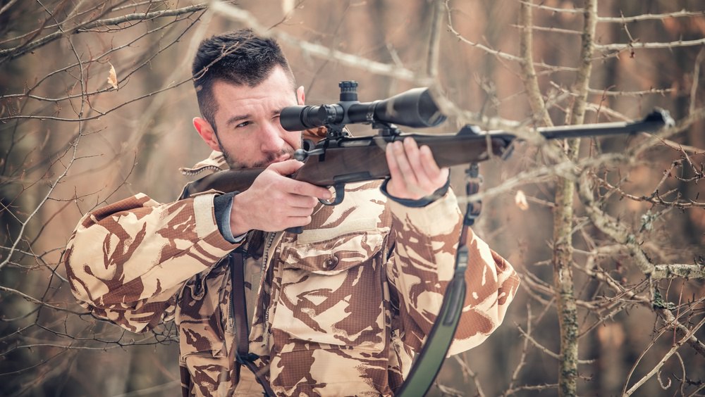 В лесах Марий Эл можно встретить быка-убийцу