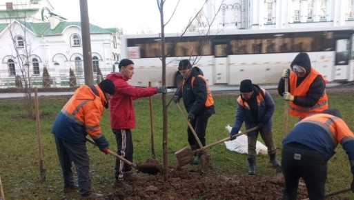 Йошкар-Олу продолжают активно озеленять