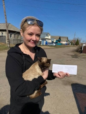 Веткомитет Марий Эл объяснил правила регистрации питомцев