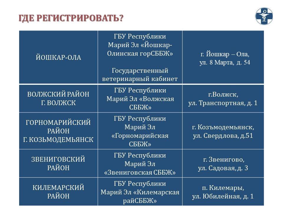 В комитете ветеринарии Марий Эл рассказали, где зарегистрировать кошку или собаку