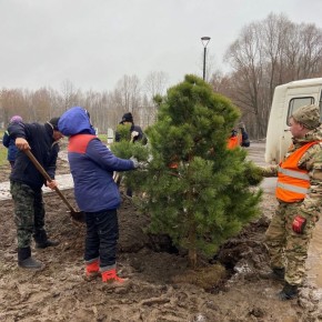 "Йошкин кот", какая красота! В Марий парке — хвойное пополнение