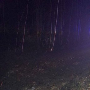 За прошедшие сутки на территории Республики Марий Эл зарегистрировано два ДТП, в результате которых два человека получили травмы