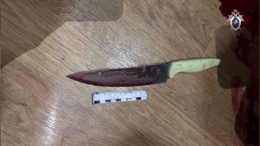 В Республике Марий Эл по ходатайству следователя СК под стражу заключена женщина, обвиняемая в убийстве