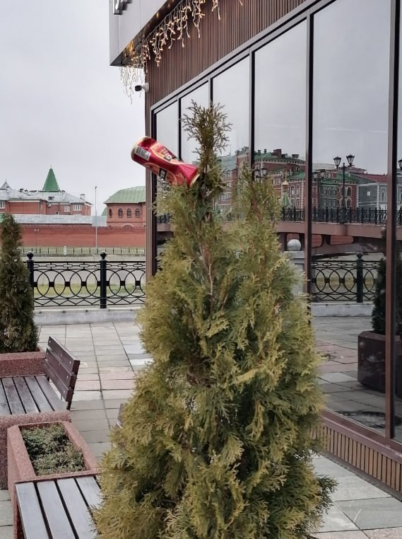 Йошкар-Ола: с заботой о чистоте и.. чувством юмора!