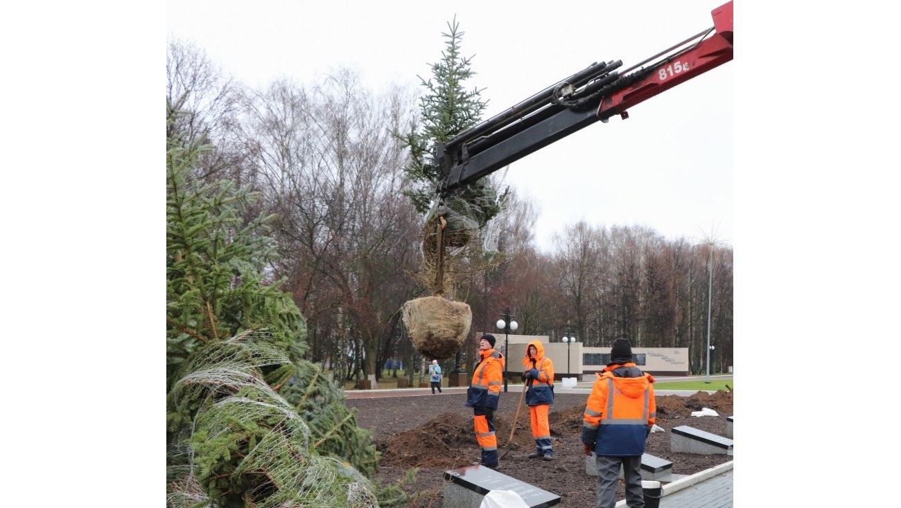 Йошкар-Олу озеленили 600 крупномерами