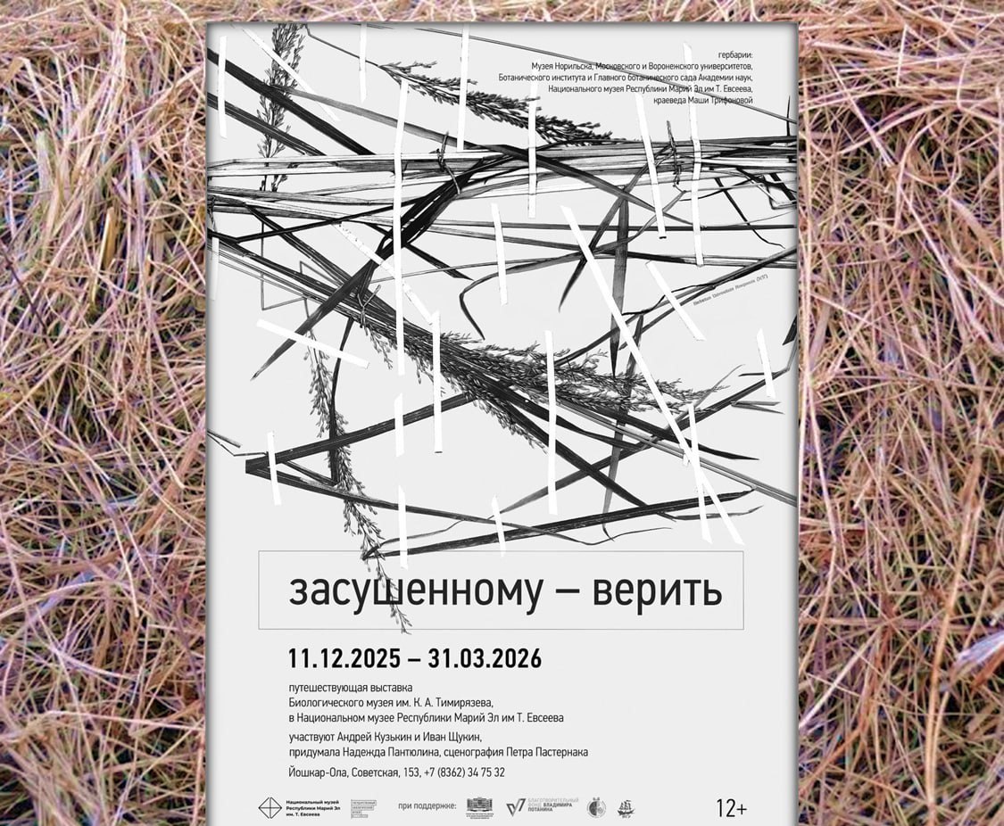 В музее Йошкар-Олы откроется необычная выставка «Засушенному – верить»