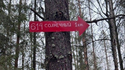 Волонтёры «ЛизаАлерт» установили в лесу около посёлка Солнечный шесть стрелок