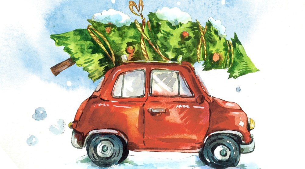 В Йошкар-Оле объявлен аукцион ёлочных базаров