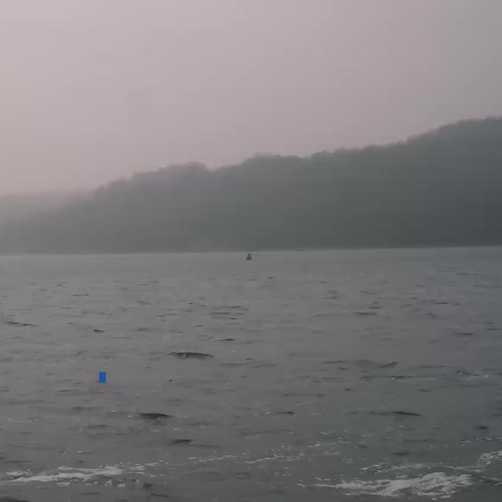 Юрий Зайцев: Подвожу итоги прошедшей недели