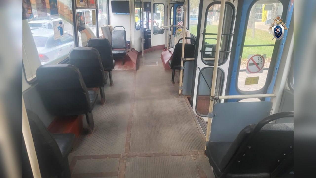 В Йошкар-Оле бывший водитель троллейбуса обвиняется в смертельном ДТП