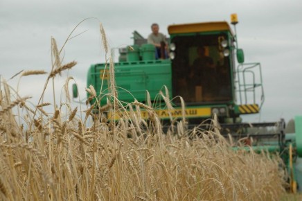 АПК Марий Эл формирует 13,6% внутреннего регионального продукта региона