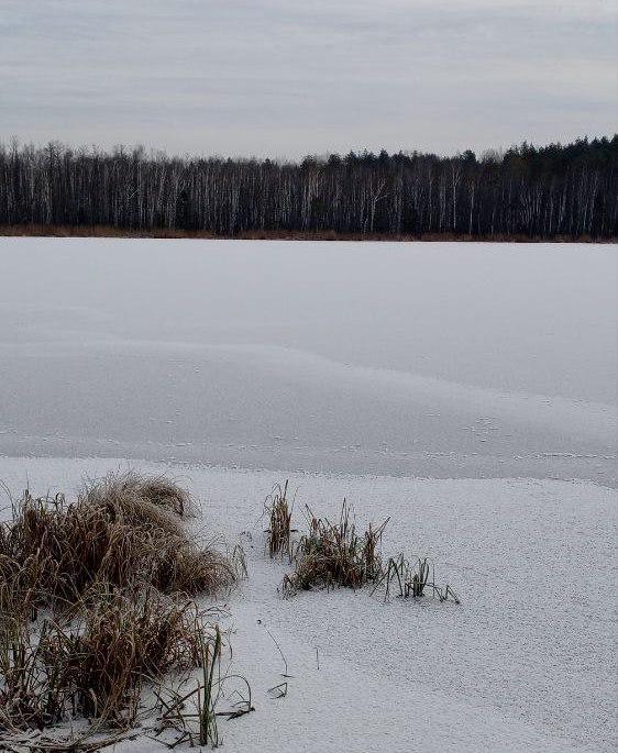 На территории нацпарка «Марий Чодра» в Марий Эл начался период становления льда На территории нацпарка «Марий Чодра» в Марий Эл начался период становления льда