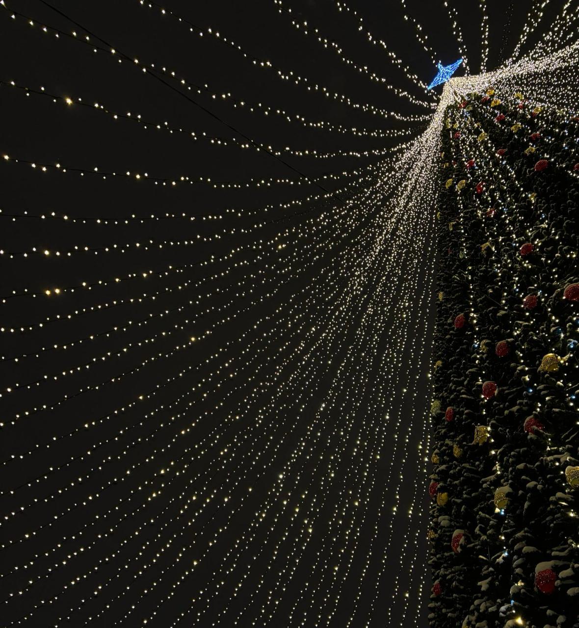 Йошкаролинцы поделились своим отношением к новогодним праздникам и признались, что испытывают в основном сдержанный, но позитивный настрой к празднику