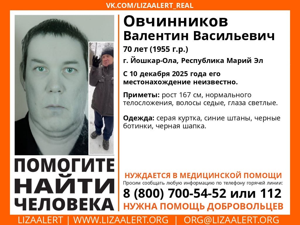 «ЛизаАлерт» просит помощи в поисках пропавшего 70-летнего йошкаролинца