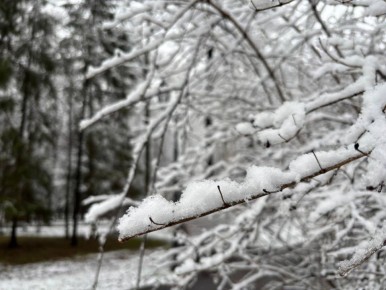Сегодня в Марий Эл облачная погода, ночью небольшой, днём умеренный снег