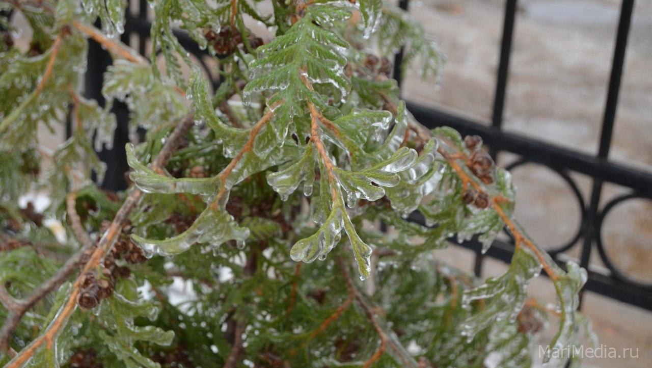 Синоптики предупредили — в Марий Эл ожидается гололёд