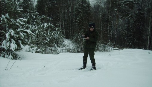 В Марий Эл самые предусмотрительные медведи уже в берлогах