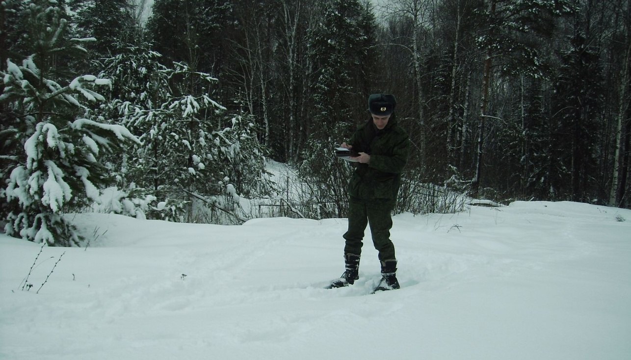 В Марий Эл самые предусмотрительные медведи уже в берлогах