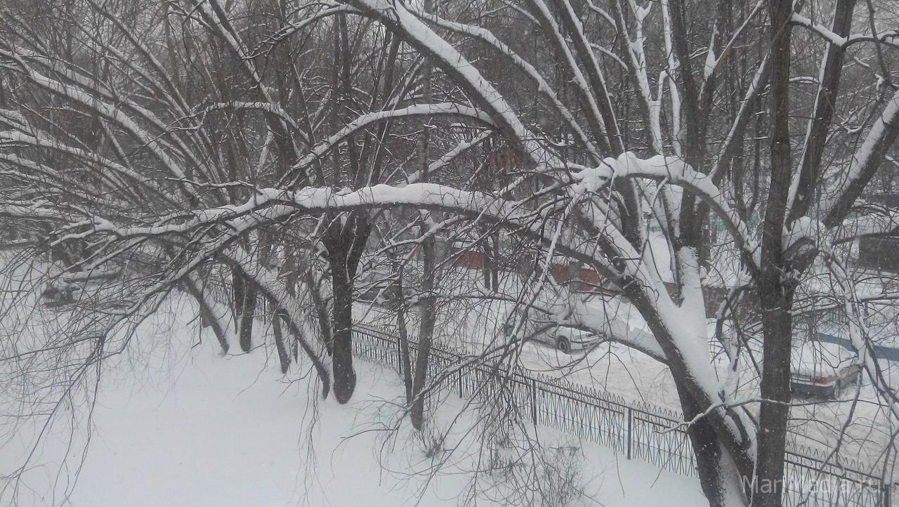 Жителей Марий Эл опять ждут «температурные качели»