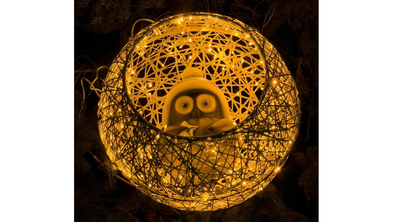 В разных районах Йошкар-Олы можно увидеть необычных сов