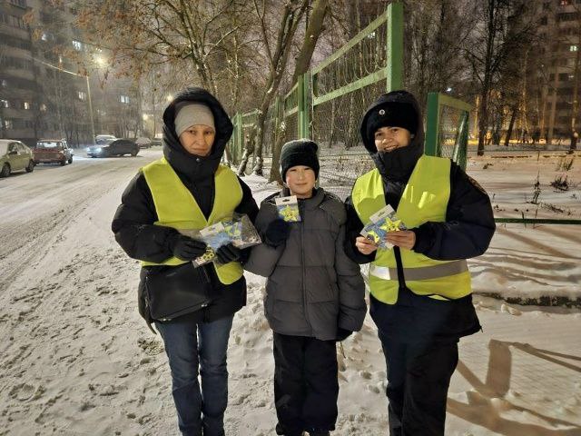 В г. Йошкар-Оле «родительский патруль» напомнил взрослым и детям о правилах безопасности на дороге