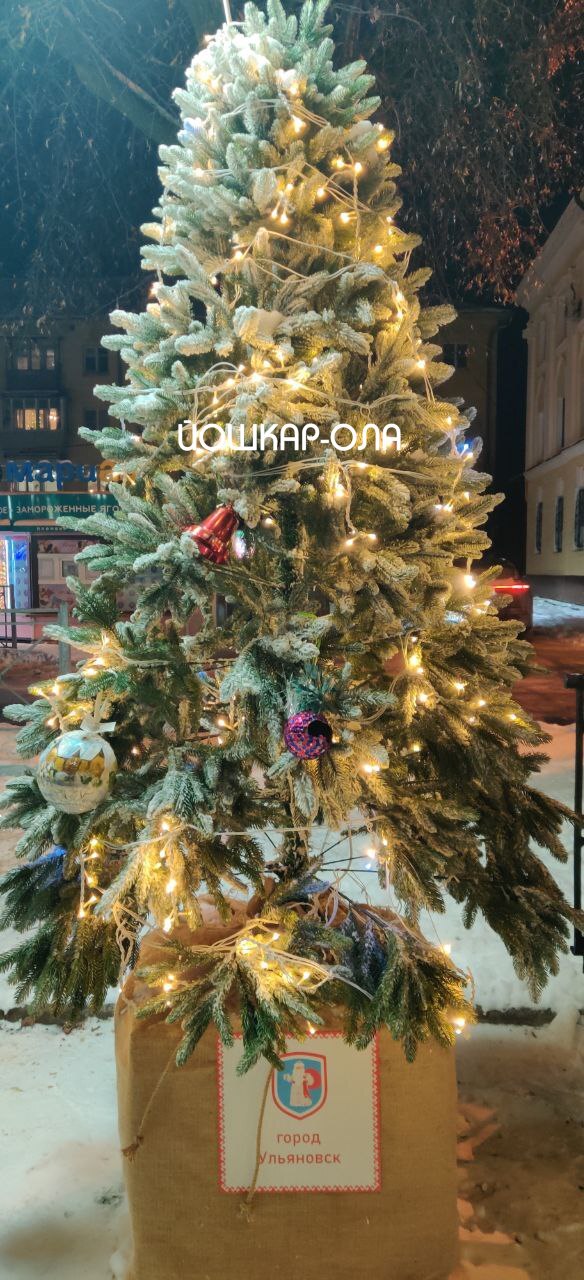 Новогодние ёлочки на бульваре Чавайна оказались с секретом Новогодние ёлочки на бульваре Чавайна оказались с секретом