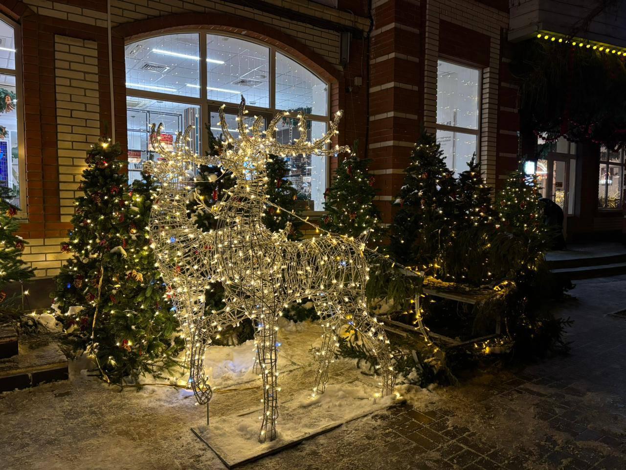 В середине декабря Йошкар-Ола превращается в зимнюю сказку: гирлянды сверкают на улицах, витает аромат мандаринов В середине декабря Йошкар-Ола превращается в зимнюю сказку: гирлянды сверкают на улицах, витает аромат мандаринов