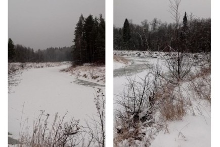Уникальное явление зафиксировано на реках национального парка «Марий Чодра»