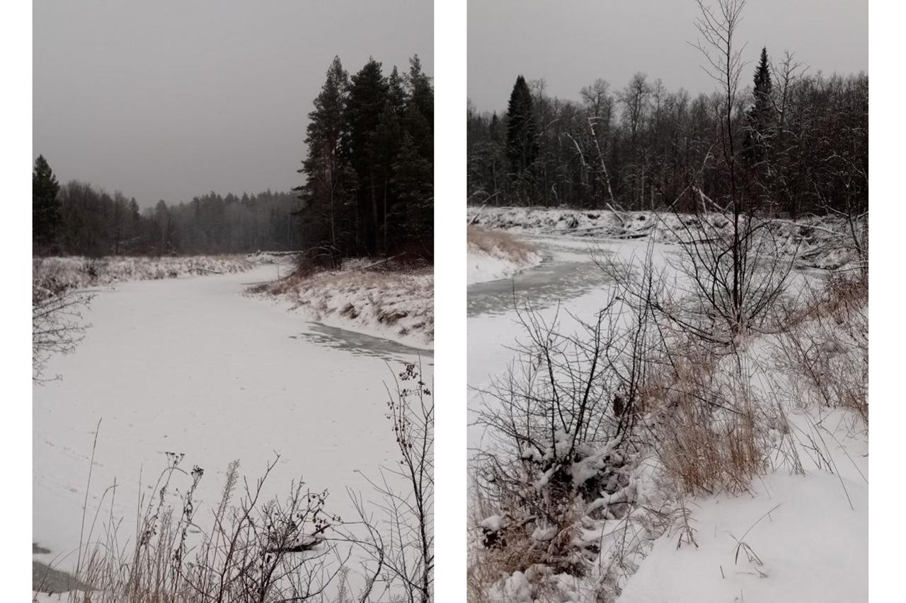 Уникальное явление зафиксировано на реках национального парка «Марий Чодра»