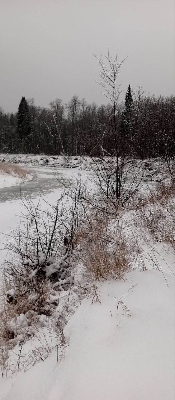 В Марий Эл впервые замерзла река Илеть В Марий Эл впервые замерзла река Илеть
