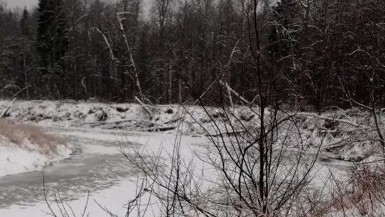 Уникальное природное явление: в Марий Эл впервые замёрзла река Илеть