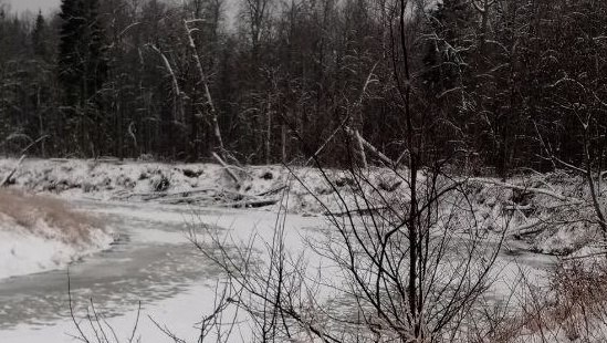 Уникальное природное явление: в Марий Эл впервые замёрзла река Илеть